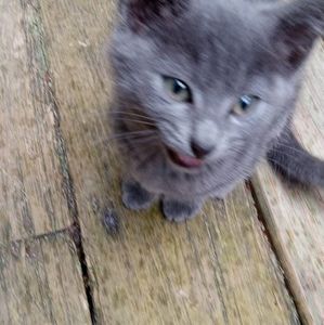 Meet your Posher, Darlene